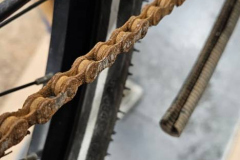 WhatsApp-Image-2026-01-21-at-23.44.20